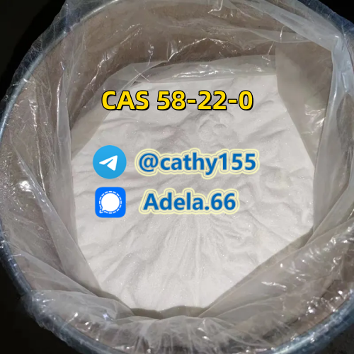 58-22-0 Testosterone